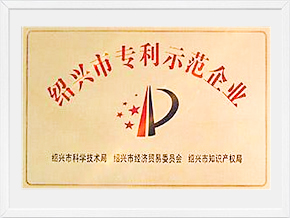 2018年新峰被評(píng)為紹興市專(zhuān)利示范企業(yè)